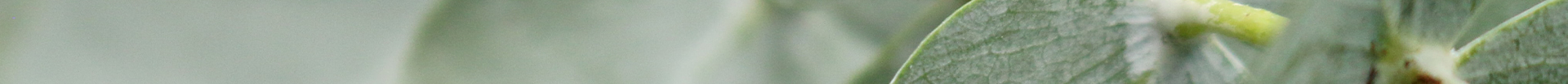 ordertracking title img